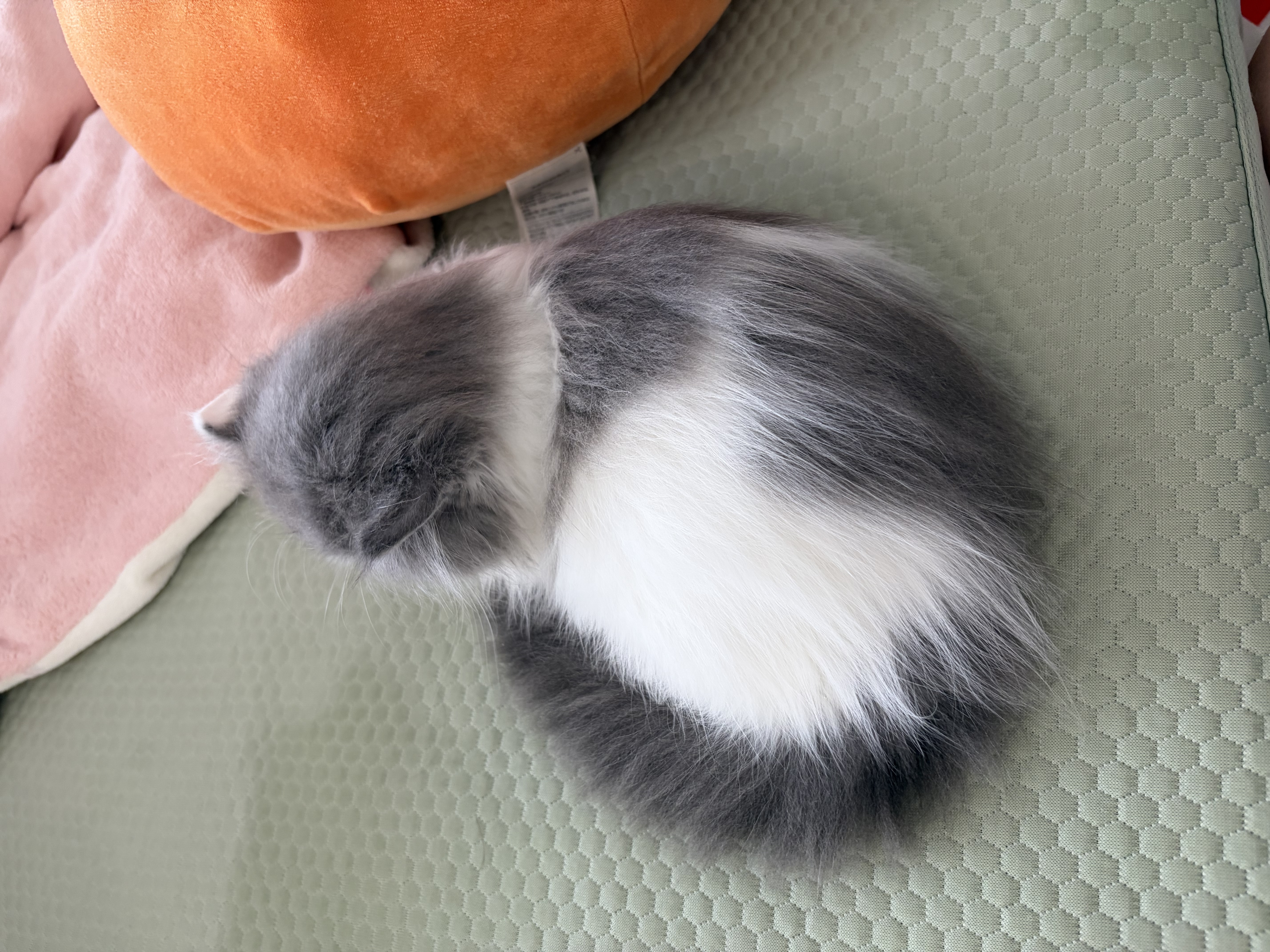 相册测试图片